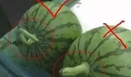 怎么找吃瓜爆料的人群呢,如何精准锁定吃瓜爆料达人