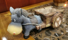 毛驴拉车视频,传统农耕文化的生动写照