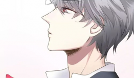 动漫男同,动漫男同的浪漫篇章