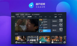 电视视频,一场视觉盛宴的深度解析